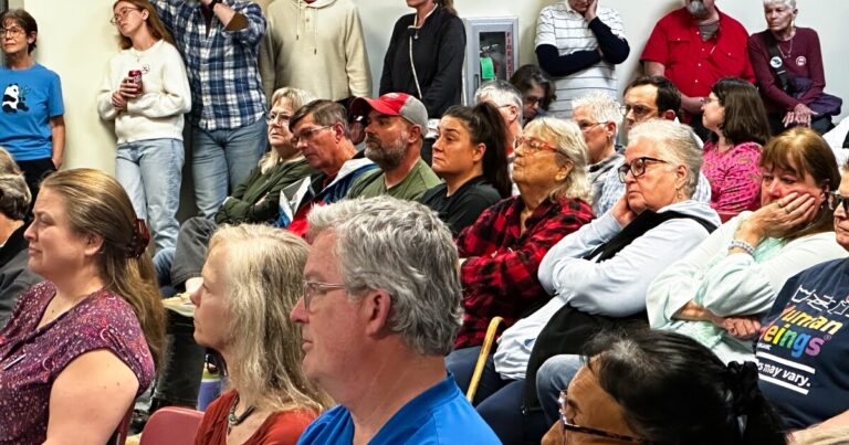a woman petting her pig