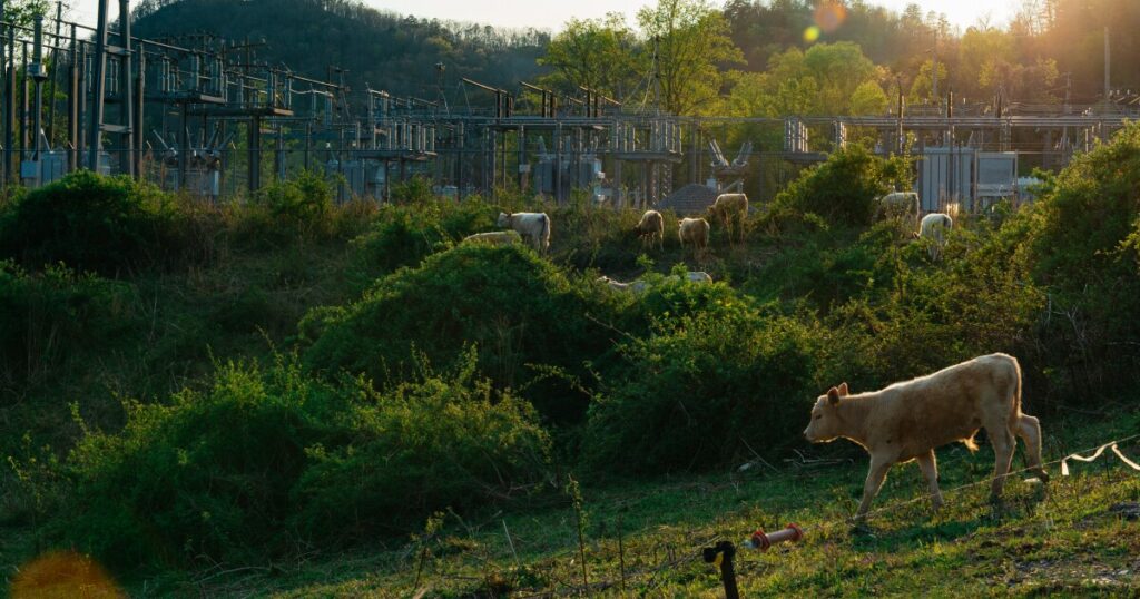 Rep. Lindsey Prather, D-Buncombe, introduces legislation that would repeal tax exemptions for data centers and mandate reporting about their electricity and water usage. Prather was speaking Monday, April 27, at the N.C. Legislative Building.