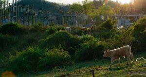 Rep. Lindsey Prather, D-Buncombe, introduces legislation that would repeal tax exemptions for data centers and mandate reporting about their electricity and water usage. Prather was speaking Monday, April 27, at the N.C. Legislative Building.