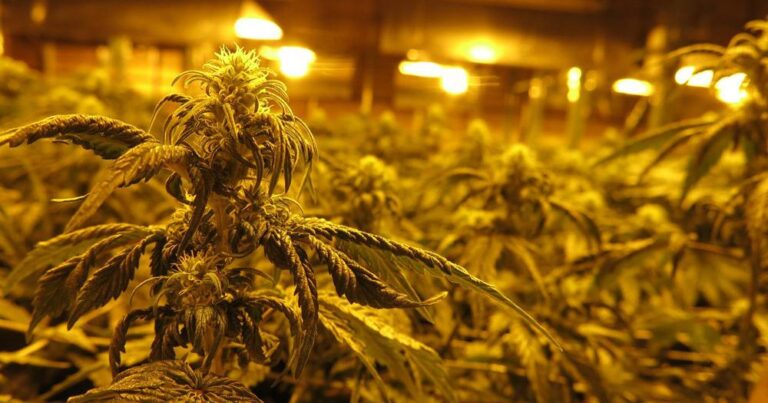 Legislature makes history, passes Nebraska's first bill on medical cannabis