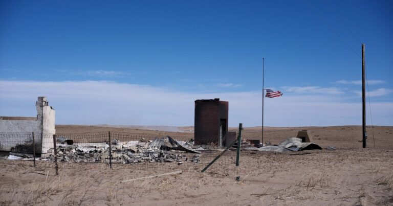 Nebraska Game and Parks offering grazing land, hay for producers affected by wildfires