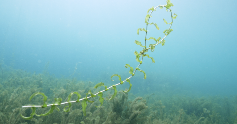 Al Aire con KUNR -10 de abril de 2026