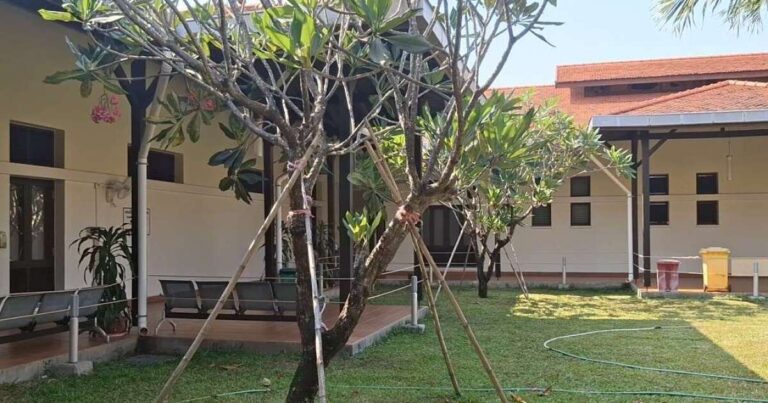 A tree with a walkway surrounding it. In front of the tree is a rock labeled, "Fianna's Healing Garden"