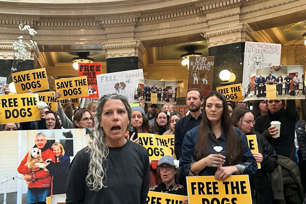 A crowd inside a large ornate building holds signs saying Free the Dogs and Save the Dogs during a protest.