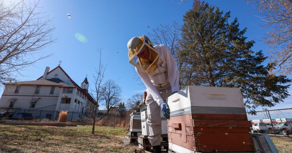 Soon after massive honeybee deaths, Trump moves to close the nation's premier bee lab