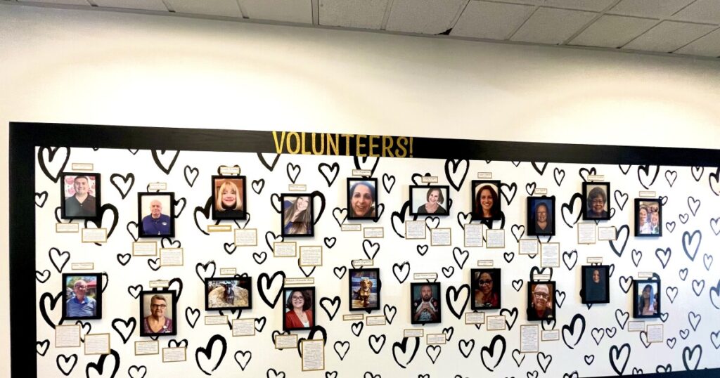 A glimpse into hospice volunteering