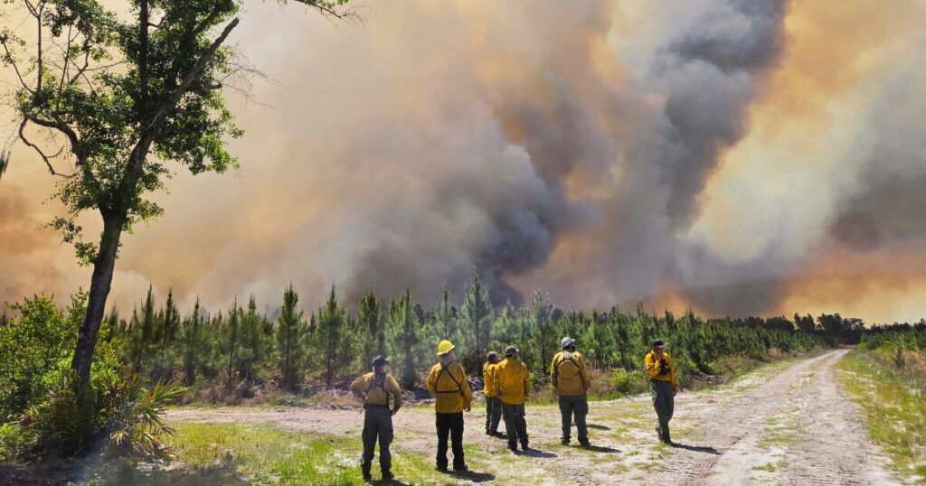 Wildfires in South Georgia blowing smoke north