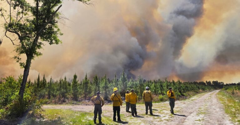 Wildfires in South Georgia blowing smoke north
