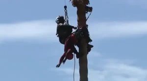 Dramatic Helicopter Rescue Saves Worker Dangling 75 Feet Up In Palm Tree