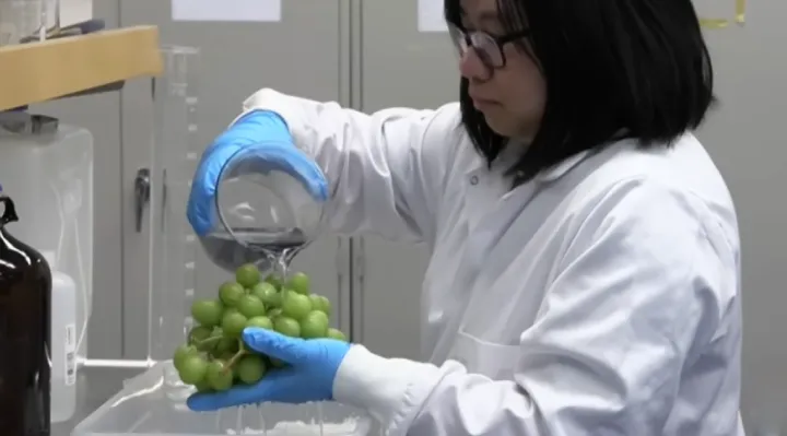 Scientists Discover A New Way To Keep Fruit Fresh Longer — And It Removes Pesticides Too