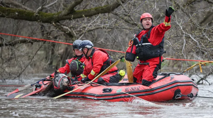 Horse Swept Away By Floodwaters Rescued After 8-Hour Fight For His Life