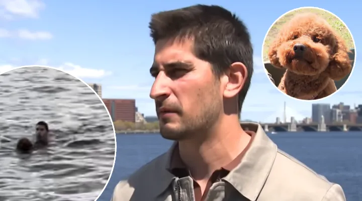 Man Risks His Life To Save Dog From Icy River In Dramatic Rescue Caught On Camera