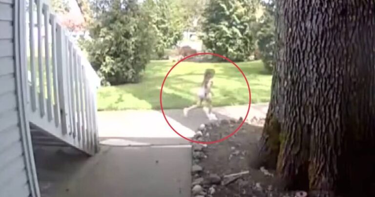 little-girl-saves-grandma-after-fall