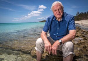 15 of the best quotes from Sir David Attenborough