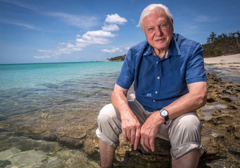 15 of the best quotes from Sir David Attenborough