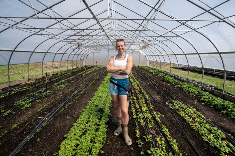 Person wearing a white tank top and shorts bends over to harvest flowers in a field of blooming plants under a blue sky.
