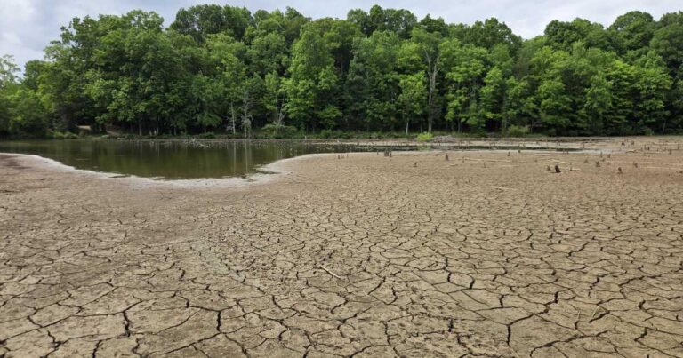 Charlotte Water to implement mandatory water restrictions as drought worsens