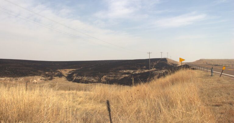 Pillen requests nearly $10 million in federal disaster relief following historic Nebraska wildfires