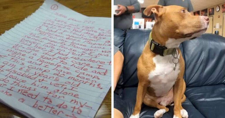 homeless veteran leaves dog at fire station