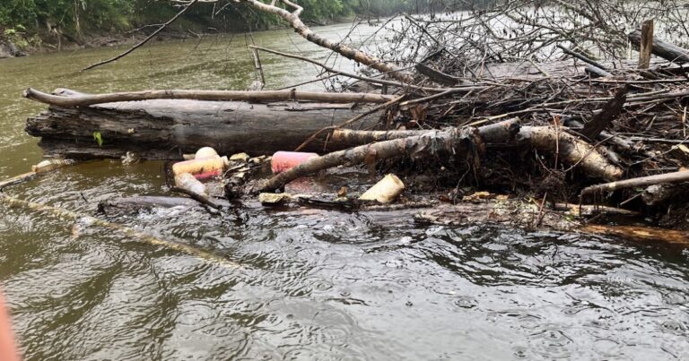 Led by NC State and NC Sea Grant, the study involves releasing GPS-equipped plastic bottles into the Neuse River to track their movement in real time. The goal is to solve the mystery of how land-based waste transforms into the marine debris that clutters our coastlines.