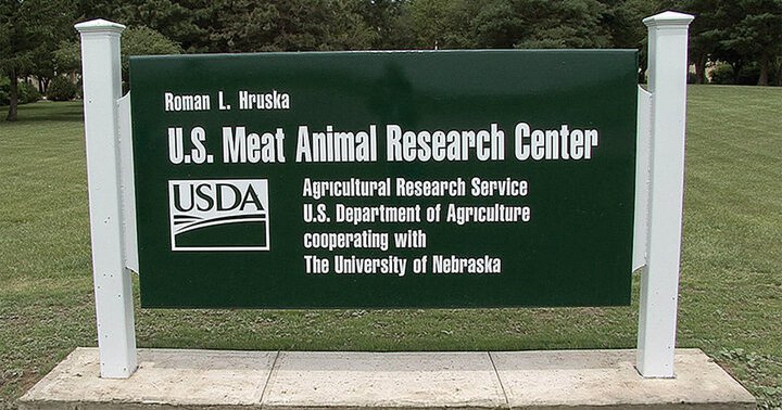 A research facility closure could bring more USDA scientists to Nebraska. That could benefit research – if the staff make it here