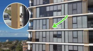 Missing Dog Rescued From 13th-Story Ledge After Two Days Trapped On High-Rise