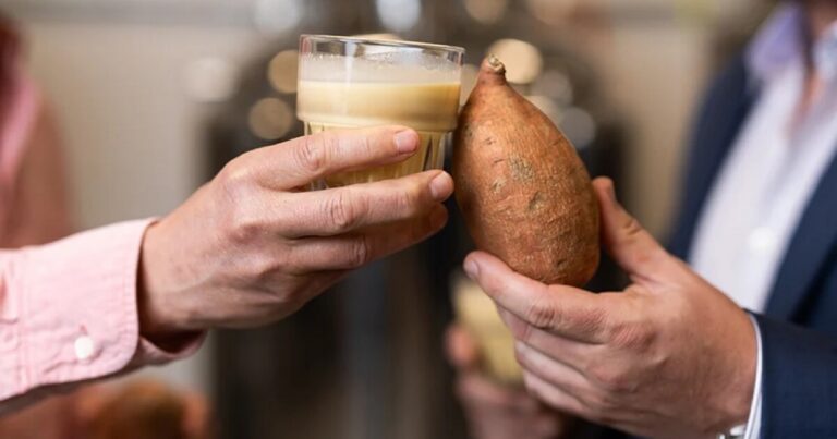 App State startup aims to reduce crop waste with sweet potato milk products