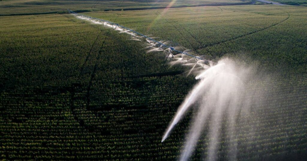 Nebraska ag law professor says data centers could try buying farmers' irrigation water