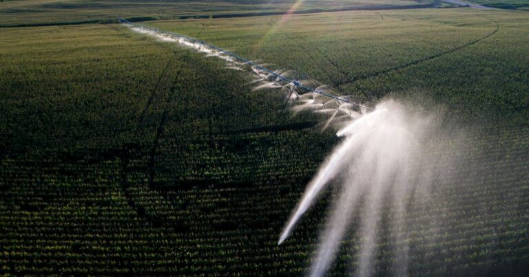 Nebraska ag law professor says data centers could try buying farmers' irrigation water