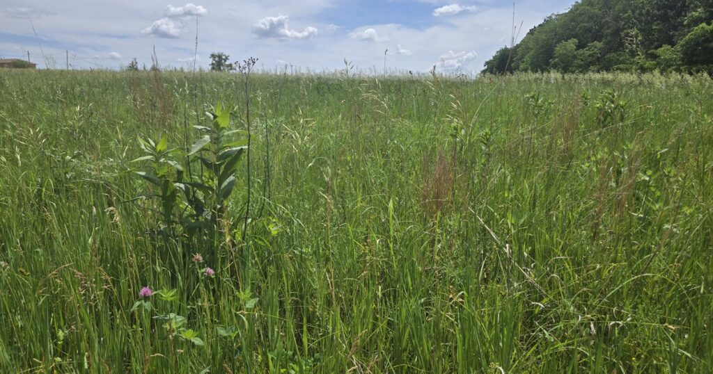 Nebraska judge stops transfer of funds from Environmental Trust as lawsuit over legislative power continues
