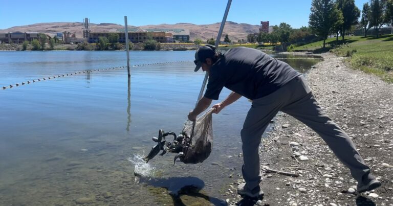 Kris Urquhart with NDOW holds a fish in front of a truck. He is smiling as he looks at the fish.