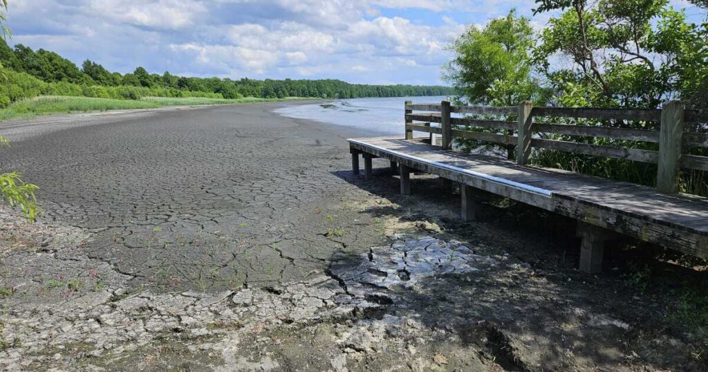 In some parts of the state, North Carolina is facing extreme to exceptional drought conditions this year.