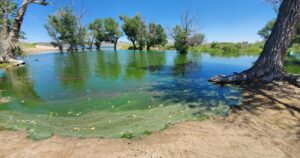 Harmful Algae Bloom Task Force Encourages Public to be ‘Algae Aware’ This Summer