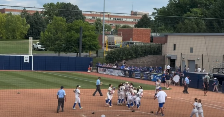 Valley View Cougars softball team.