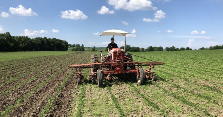 Nebraska's rural economy weakens as low grain prices and trade tensions persist