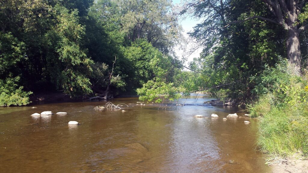 DNR monitors fish kill in Sheboygan River