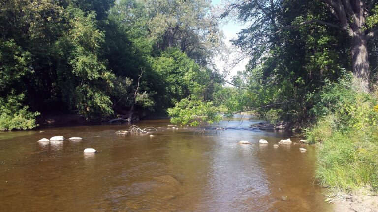 DNR monitors fish kill in Sheboygan River