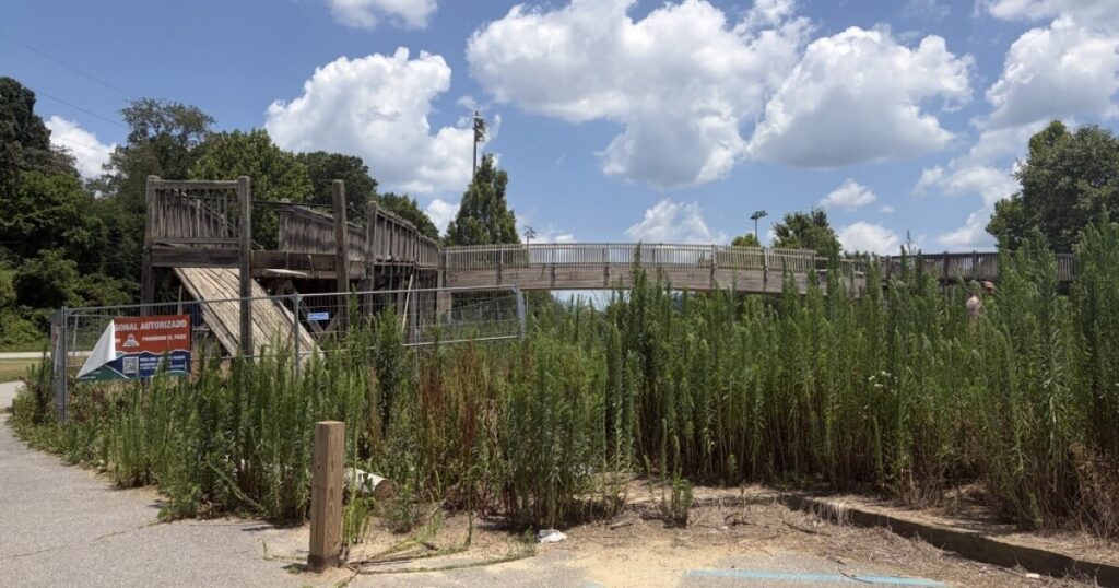 A rendering of French Broad River Park that includes the "floodable terrace design."