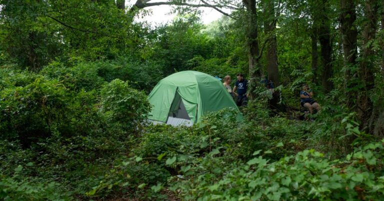 North Carolina Governor Josh Stein vetoes homeless camping ban