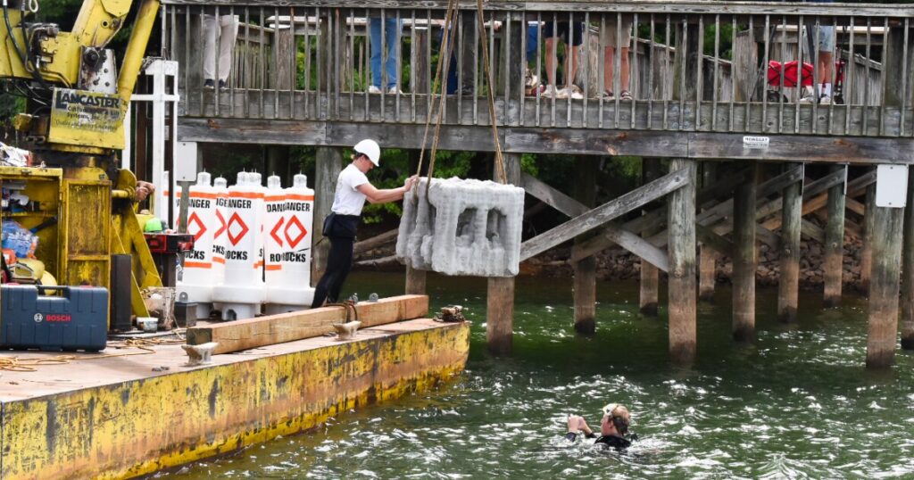 'Less fishing, more catching,' as nonprofit installs artificial reefs for habitat in Lake Norman