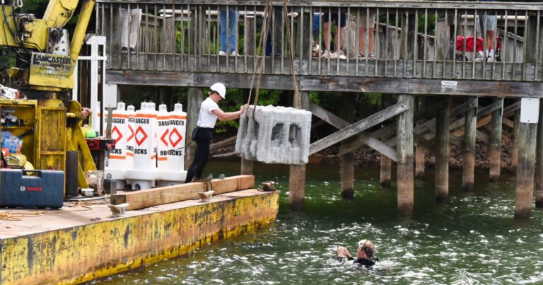 'Less fishing, more catching,' as nonprofit installs artificial reefs for habitat in Lake Norman