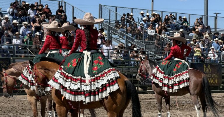 One of the riders and her horse whips by the edge of the rodeo arena.