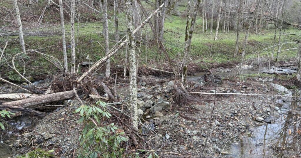 Grandfather Mountain hiking trail damaged by Helene reopens