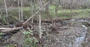 Grandfather Mountains Profile Trail Reopens After Hurricane Helene - Common Good News Grandfather Mountain hiking trail damaged by Helene reopens