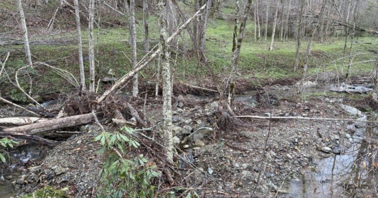 Grandfather Mountain hiking trail damaged by Helene reopens