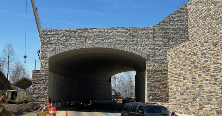 North Carolina’s new budget includes historic levels of funding to help wildlife safely cross roads
