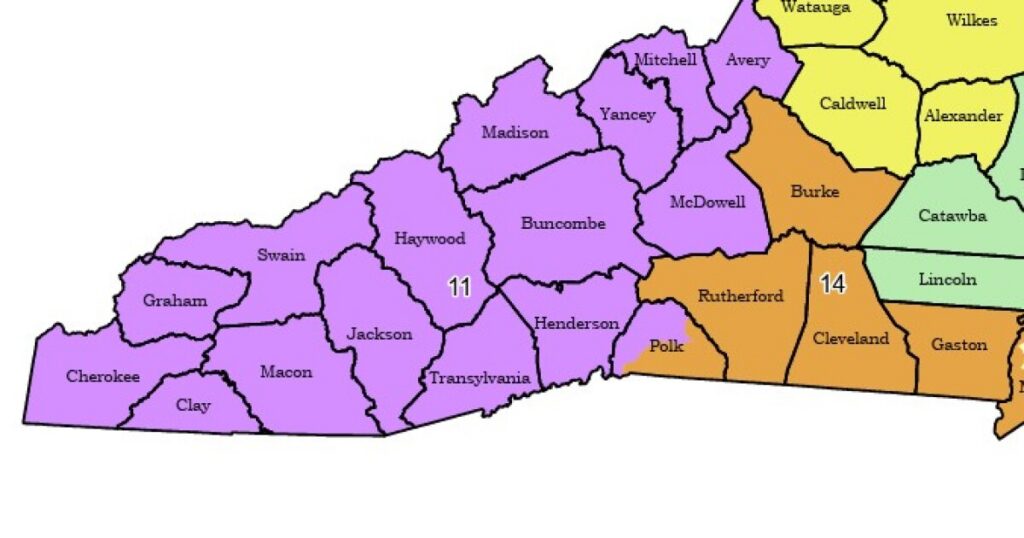 U.S. Rep. Chuck Edwards spoke at a town hall in Asheville on March 13, 2025.