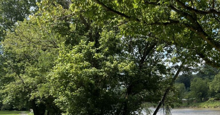 Buncombe County moving forward on Woodfin greenway and is looking at alternative for Enka path