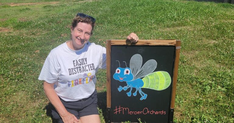 Georgia fireflies are out in droves this summer