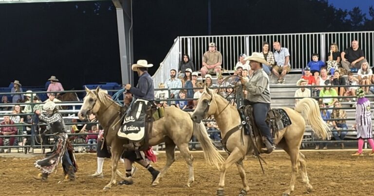 Marshalls Rodeo Tradition Thrives with M Arena Upgrade - Common Good News Bronco riders Kyle Thompson, left, with Adam Hawkenberry.